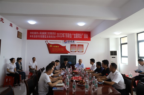 配图当阳法院第三党支部与双莲工业园党支部联合开展主题党日_副本.jpg