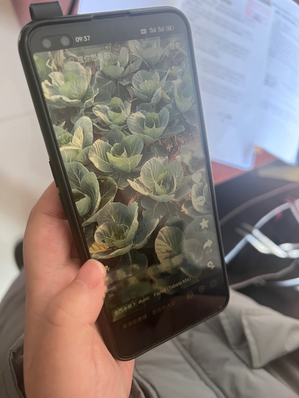 微信图片_20240131175532_副本.jpg